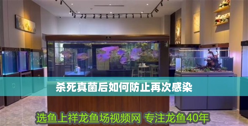殺死真菌后如何防止再次感染