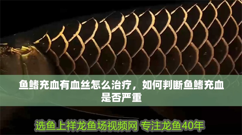 魚鰭充血有血絲怎么治療，如何判斷魚鰭充血是否嚴(yán)重