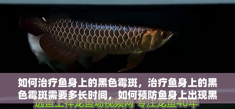 如何治療魚身上的黑色霉斑，治療魚身上的黑色霉斑需要多長時間，如何預防魚身上出現黑色霉斑