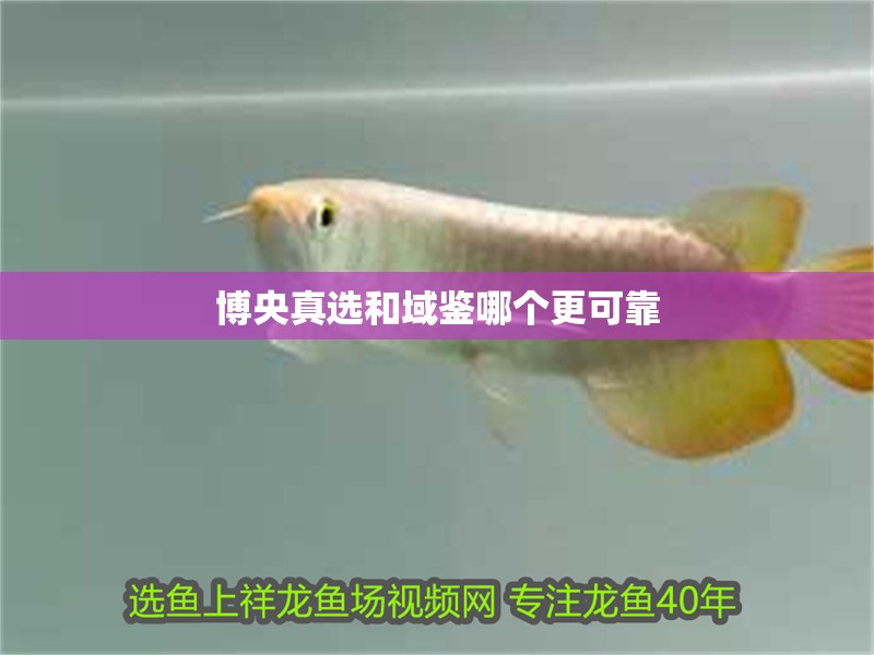 博央真選和域鑒哪個更可靠