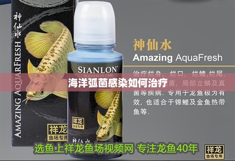 海洋弧菌感染如何治療