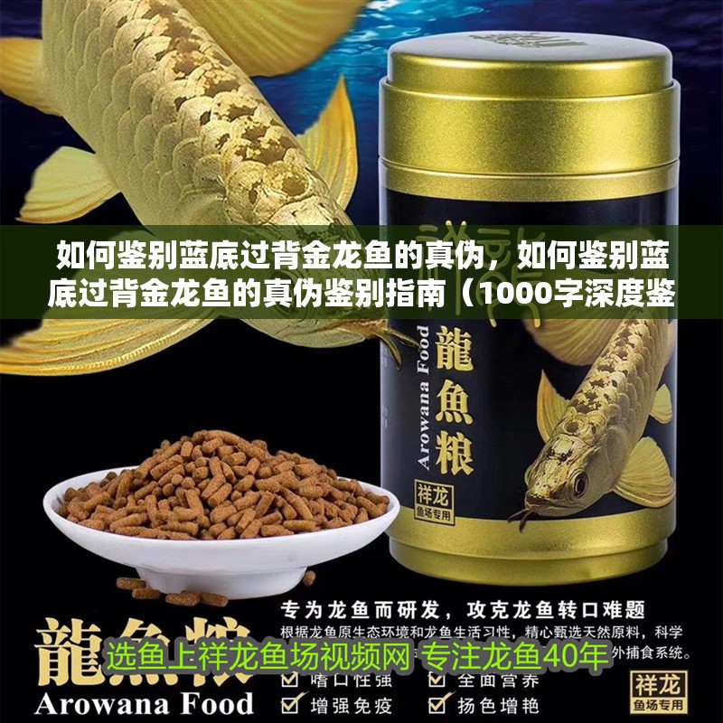 如何鑒別藍底過背金龍魚的真偽,如何鑒別藍底過背金龍魚的真偽鑒別指南(1000字深度鑒別指南)