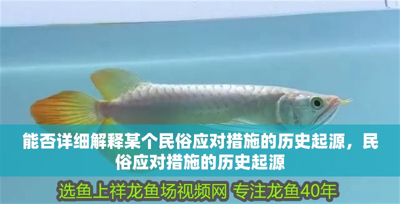 能否詳細解釋某個民俗應對措施的歷史起源，民俗應對措施的歷史起源