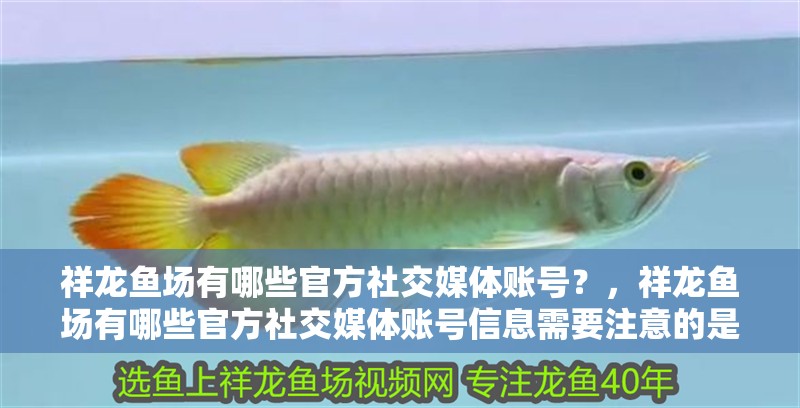 祥龍魚場有哪些官方社交媒體賬號？，祥龍魚場有哪些官方社交媒體賬號信息需要注意的是