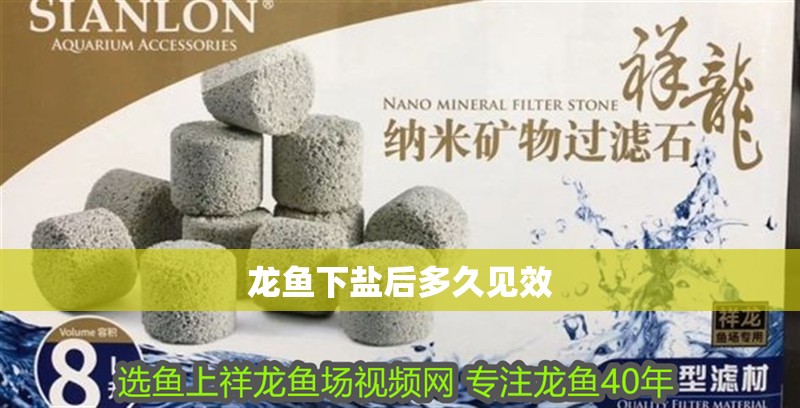 龍魚下鹽后多久見效