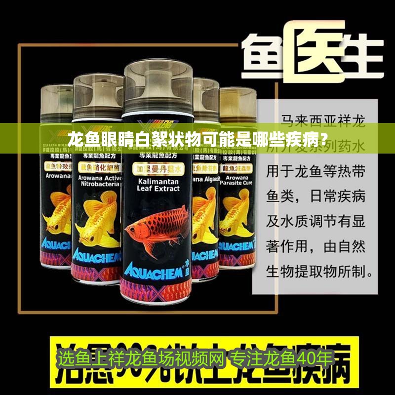 龍魚眼睛白絮狀物可能是哪些疾病？