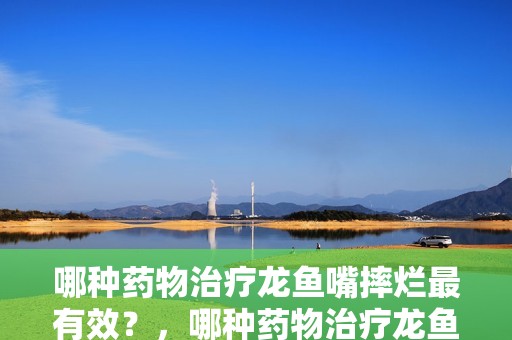 哪種藥物治療龍魚嘴摔爛最有效？，哪種藥物治療龍魚嘴摔爛最有效？如何判斷龍魚嘴傷是否嚴重？