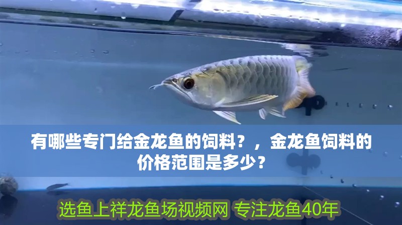 有哪些專門給金龍魚的飼料？，金龍魚飼料的價格范圍是多少？