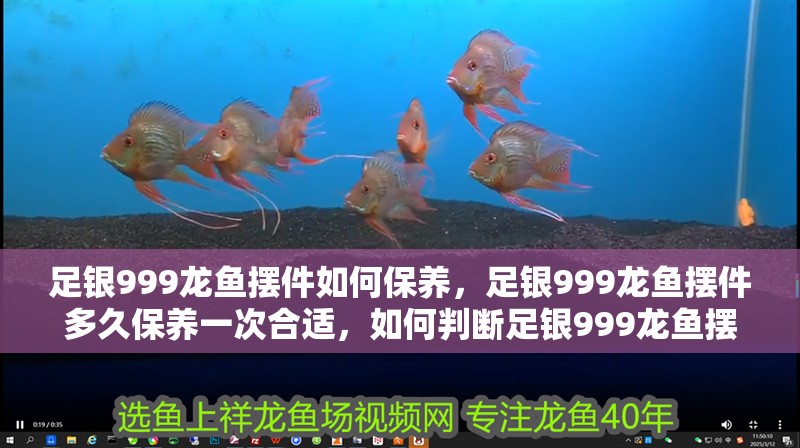 足銀999龍魚擺件如何保養(yǎng)，足銀999龍魚擺件多久保養(yǎng)一次合適，如何判斷足銀999龍魚擺件是否氧化