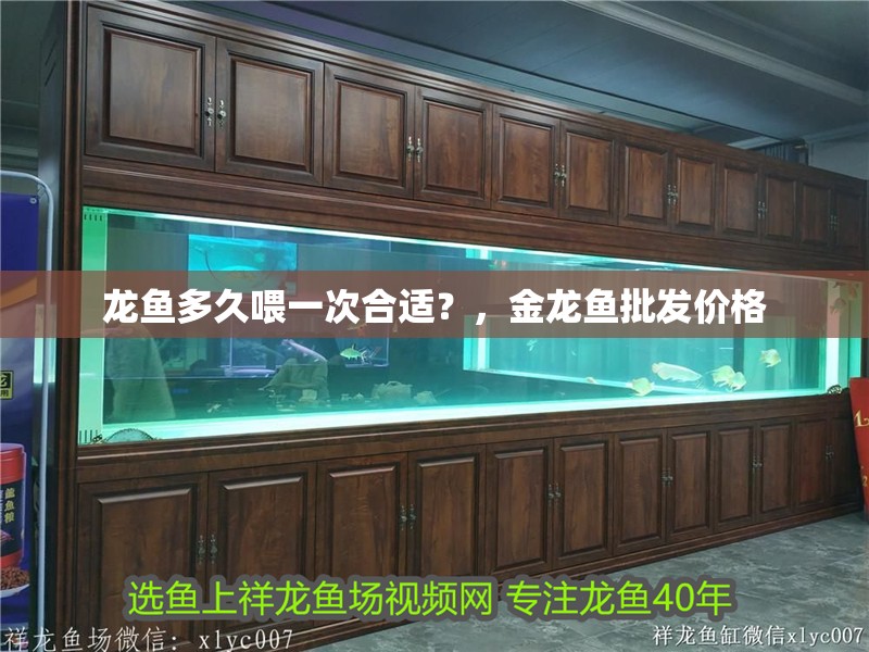 龍魚多久喂一次合適？，金龍魚批發價格