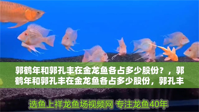 郭鶴年和郭孔豐在金龍魚各占多少股份？，郭鶴年和郭孔豐在金龍魚各占多少股份，郭孔豐為何不直接持有金龍魚股份