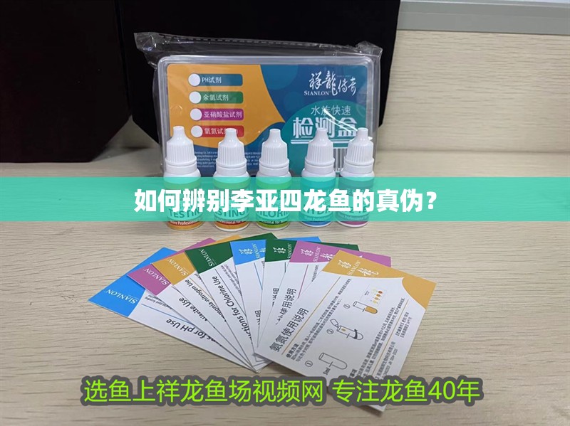 如何辨別李亞四龍魚的真偽?
