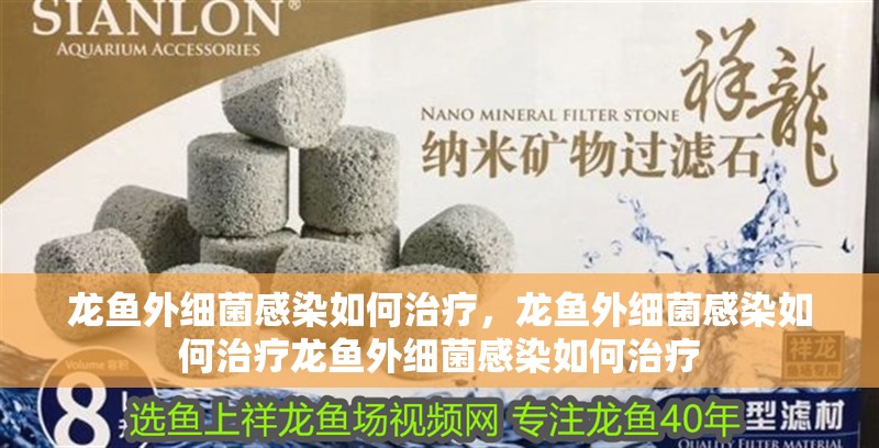 龍魚外細菌感染如何治療,龍魚外細菌感染如何治療龍魚外細菌感染如何治療