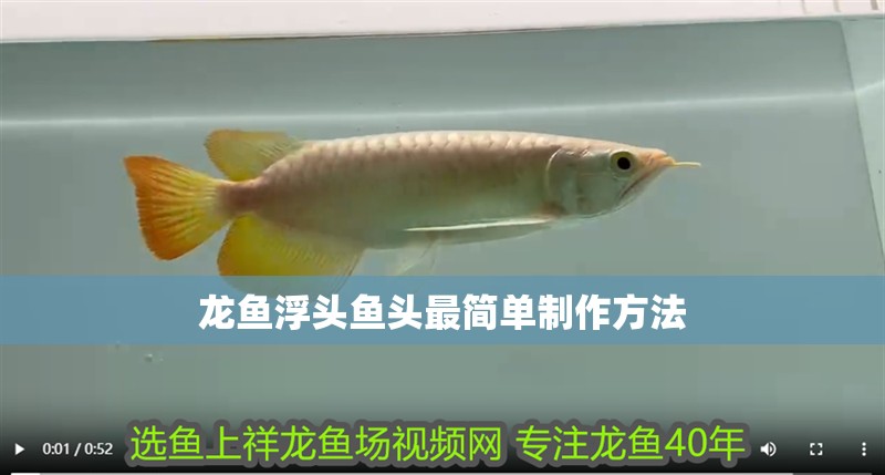 龍魚浮頭魚頭最簡單制作方法
