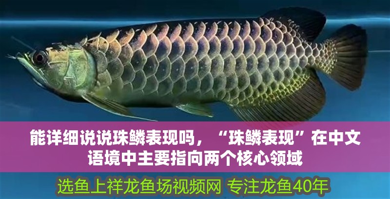 能詳細說說珠鱗表現嗎，“珠鱗表現”在中文語境中主要指向兩個核心領域