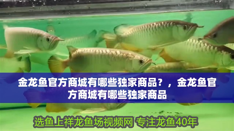 金龍魚官方商城有哪些獨家商品？，金龍魚官方商城有哪些獨家商品