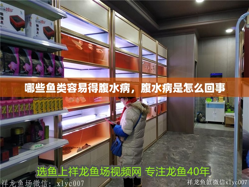 哪些魚類容易得腹水病,腹水病是怎么回事