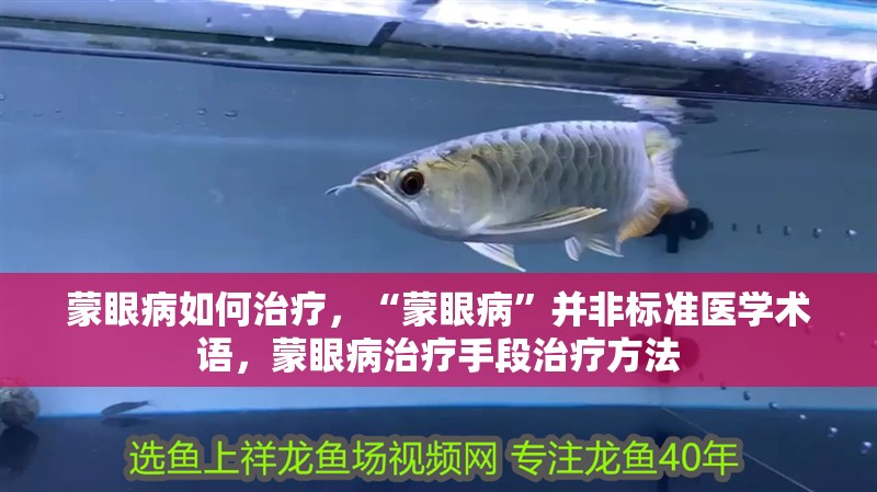 蒙眼病如何治療，“蒙眼病”并非標(biāo)準(zhǔn)醫(yī)學(xué)術(shù)語，蒙眼病治療手段治療方法