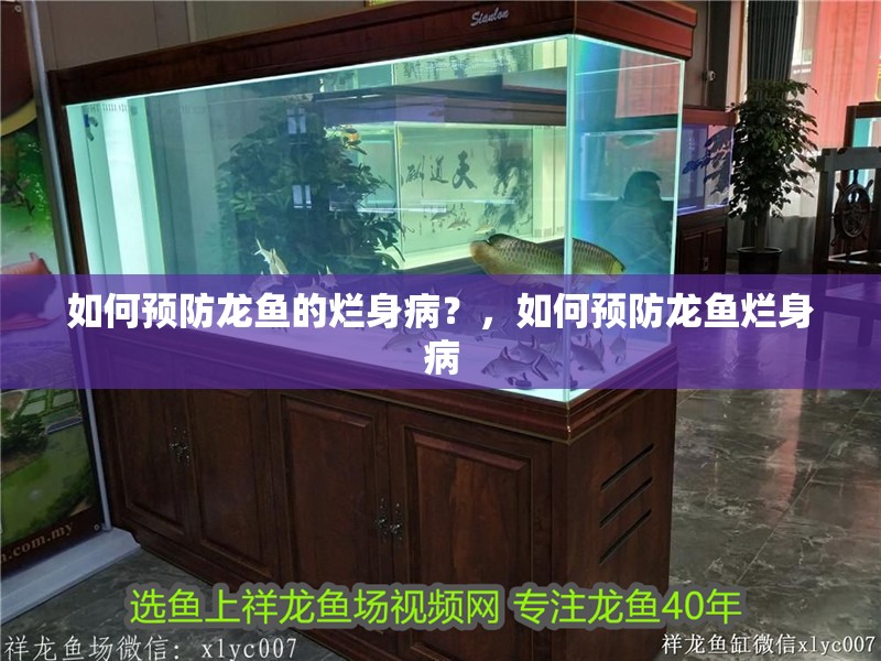 如何預防龍魚的爛身病？，如何預防龍魚爛身病