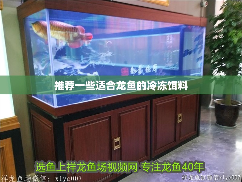 推薦一些適合龍魚的冷凍餌料