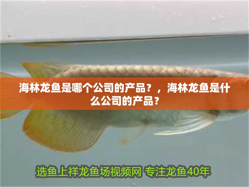 海林龍魚是哪個公司的產品？，海林龍魚是什么公司的產品？