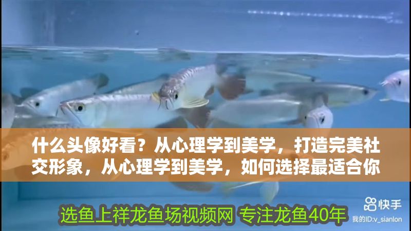 什么頭像好看？從心理學到美學，打造完美社交形象，從心理學到美學，如何選擇最適合你的社交頭像