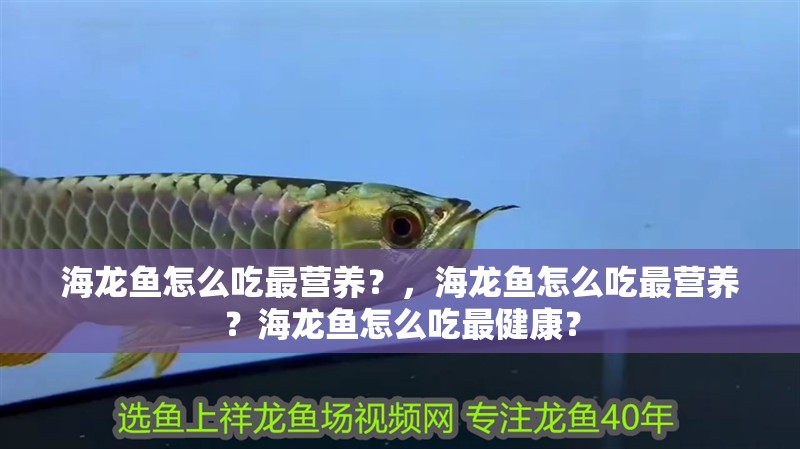 海龍魚怎么吃最營養？，海龍魚怎么吃最營養？海龍魚怎么吃最健康？