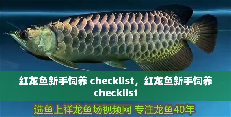 紅龍魚新手飼養(yǎng) checklist，紅龍魚新手飼養(yǎng)checklist