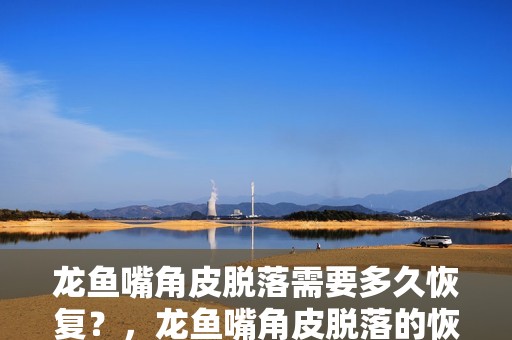 龍魚嘴角皮脫落需要多久恢復？，龍魚嘴角皮脫落的恢復時間取決于多種因素