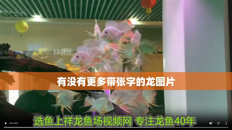 有沒有更多帶張字的龍圖片
