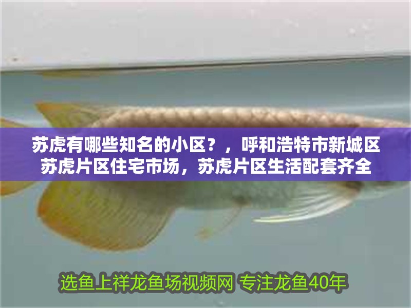 蘇虎有哪些知名的小區？，呼和浩特市新城區蘇虎片區住宅市場，蘇虎片區生活配套齊全