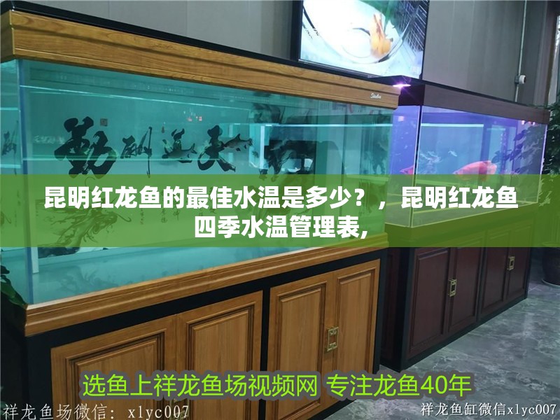 昆明紅龍魚的最佳水溫是多少？，昆明紅龍魚四季水溫管理表,
