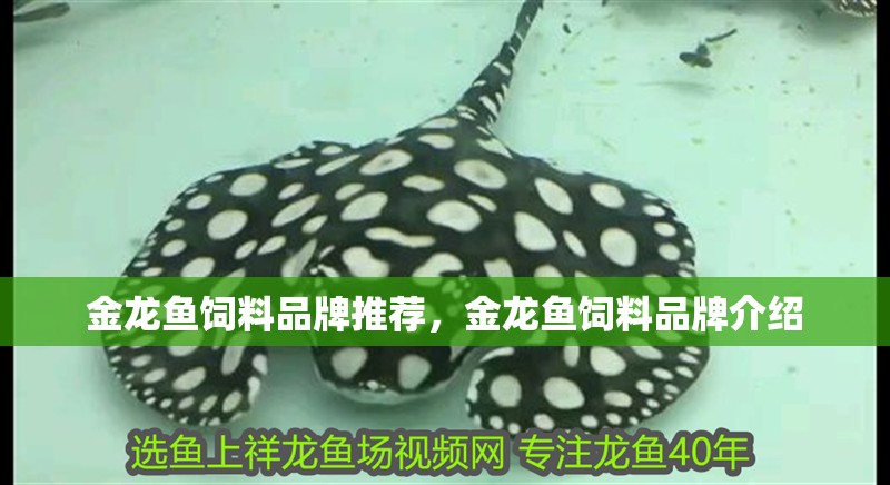 金龍魚(yú)飼料品牌推薦，金龍魚(yú)飼料品牌介紹