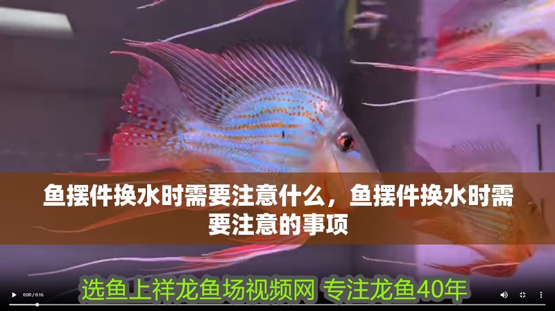 魚擺件換水時需要注意什么，魚擺件換水時需要注意的事項