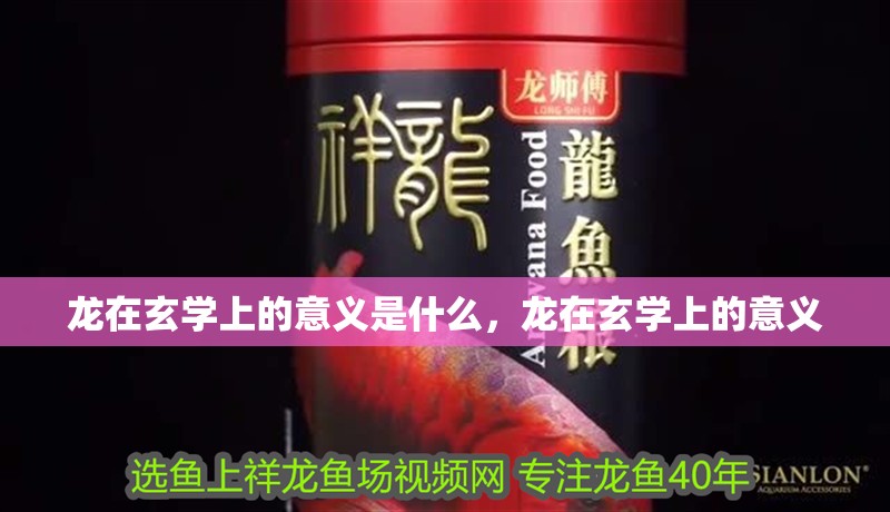 龍在玄學上的意義是什么，龍在玄學上的意義