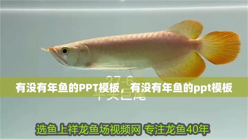 有沒有年魚的PPT模板，有沒有年魚的ppt模板