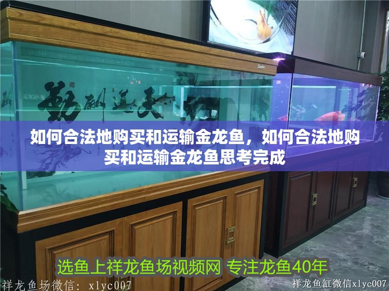 如何合法地購買和運輸金龍魚，如何合法地購買和運輸金龍魚思考完成