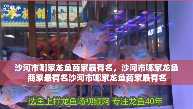 沙河市哪家龍魚商家最有名，沙河市哪家龍魚商家最有名沙河市哪家龍魚商家最有名