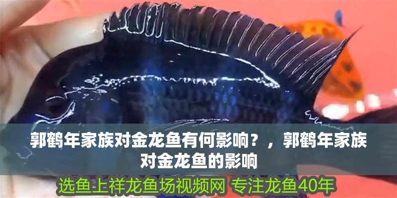郭鶴年家族對金龍魚有何影響？，郭鶴年家族對金龍魚的影響