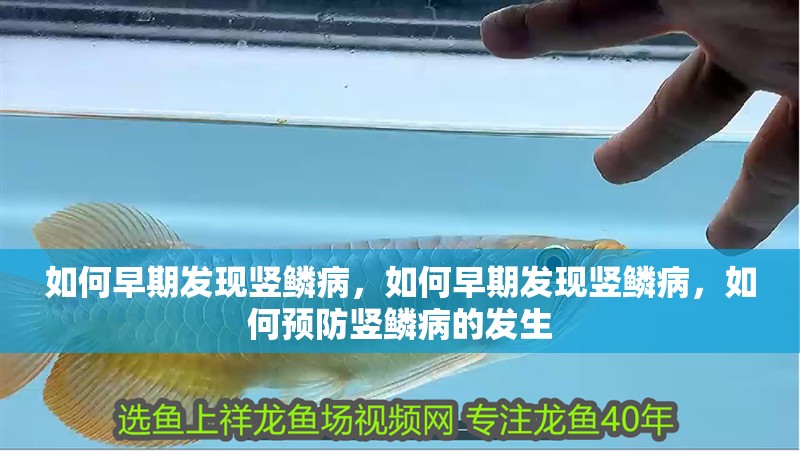 如何早期發現豎鱗病，如何早期發現豎鱗病，如何預防豎鱗病的發生