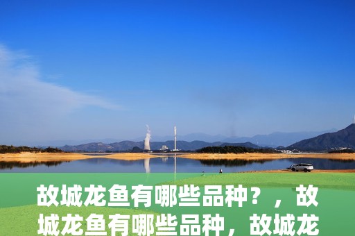 故城龍魚有哪些品種？，故城龍魚有哪些品種，故城龍魚品種分類，