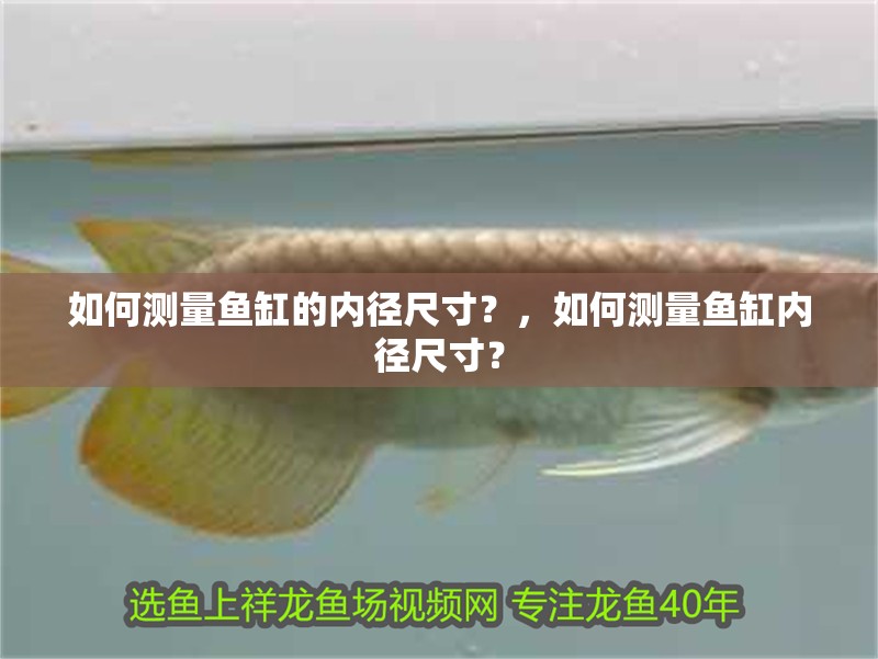 如何測量魚缸的內徑尺寸？，如何測量魚缸內徑尺寸？