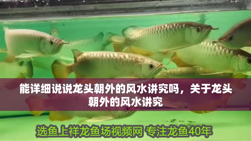 能詳細說說龍頭朝外的風水講究嗎,關于龍頭朝外的風水講究