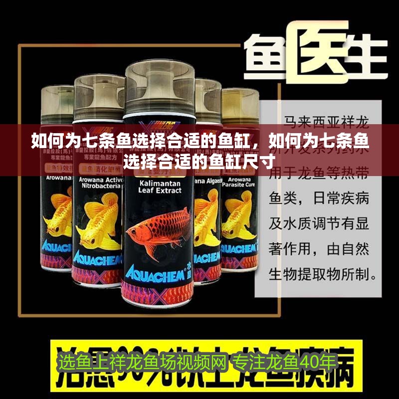 如何為七條魚選擇合適的魚缸，如何為七條魚選擇合適的魚缸尺寸