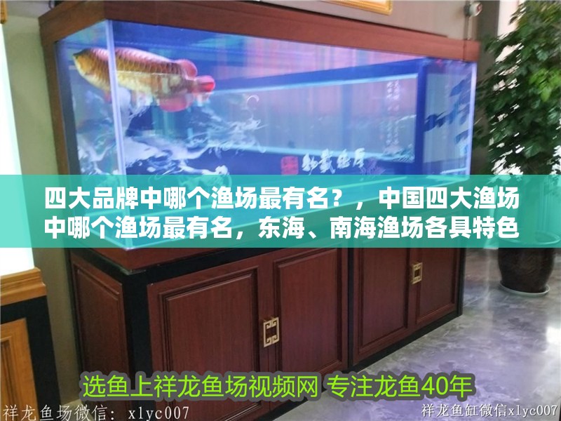 四大品牌中哪個漁場最有名？，中國四大漁場中哪個漁場最有名，東海、南海漁場各具特色