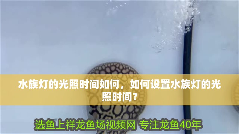 水族燈的光照時間如何，如何設置水族燈的光照時間？