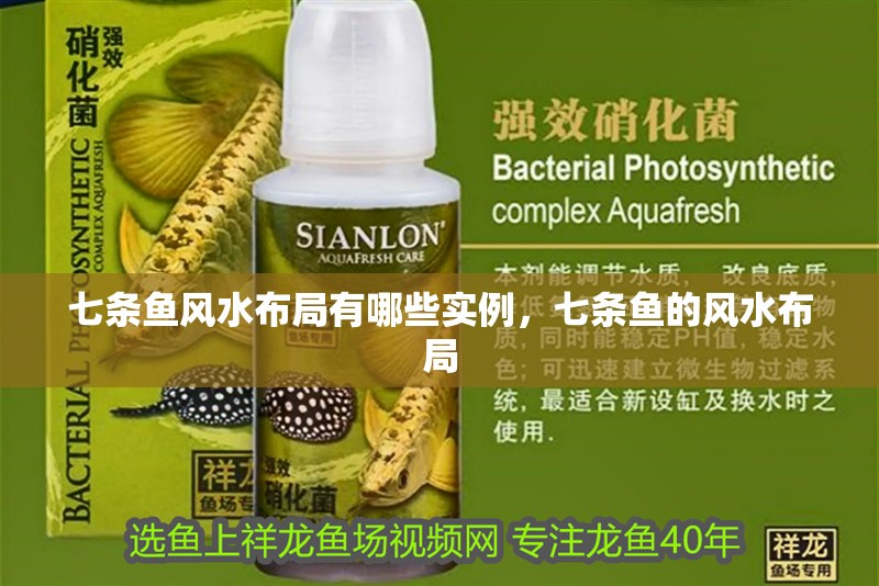 七條魚風水布局有哪些實例，七條魚的風水布局