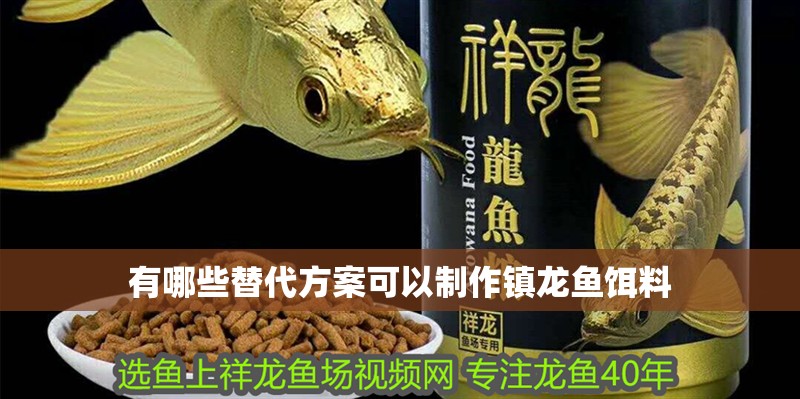 有哪些替代方案可以制作鎮(zhèn)龍魚餌料