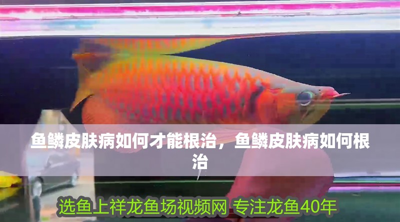 魚鱗皮膚病如何才能根治，魚鱗皮膚病如何根治