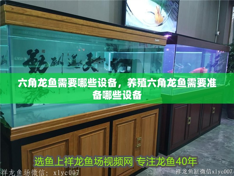 六角龍魚需要哪些設備，養(yǎng)殖六角龍魚需要準備哪些設備